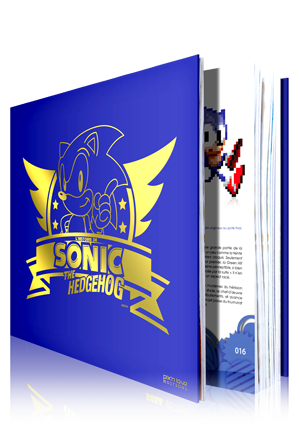 L'histoire de Sonic chez Pix'n Love!